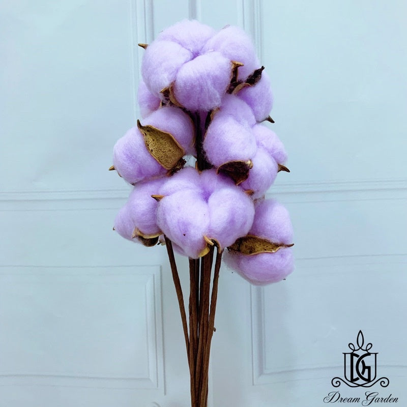 🇸🇬[SG Stock]Preserved Flowers Dried Flowers Cotton Flowers Singapore Local Wholesalers Home Decoration/DIY/Wedding