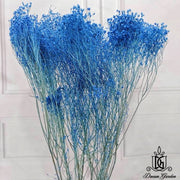 Dried Broom Bloom Flowers Preserved Flowers Babybreath | DreamGarden SG