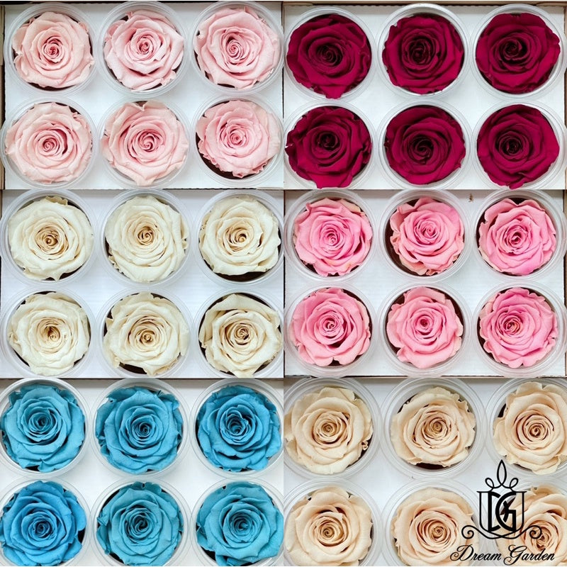 🇸🇬[SG Stock]🇸🇬SG Local Largest Wholesaler RoseAmor Pearl Color Preserved Roses Japanese Preserved Flowers Ecuador Roses