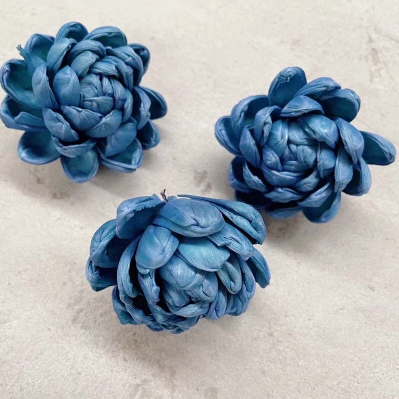 🇸🇬[SG Stock]Preserved Flowers Dried Flowers Colored Sola Flowers Wood Flower Handmade Flower Chrysanthemum Lotus Peony