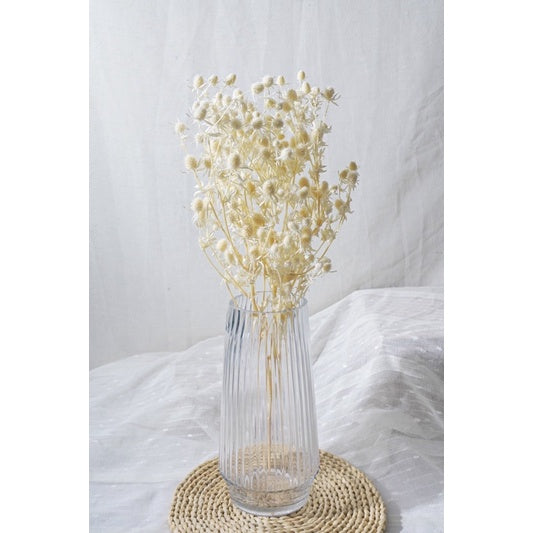 🇸🇬[SG Stock]Preserved Flowers Dried Flowers Preserved Sea Holly Singapore Local Wholesalers Home Decoration/DIY/Wedding