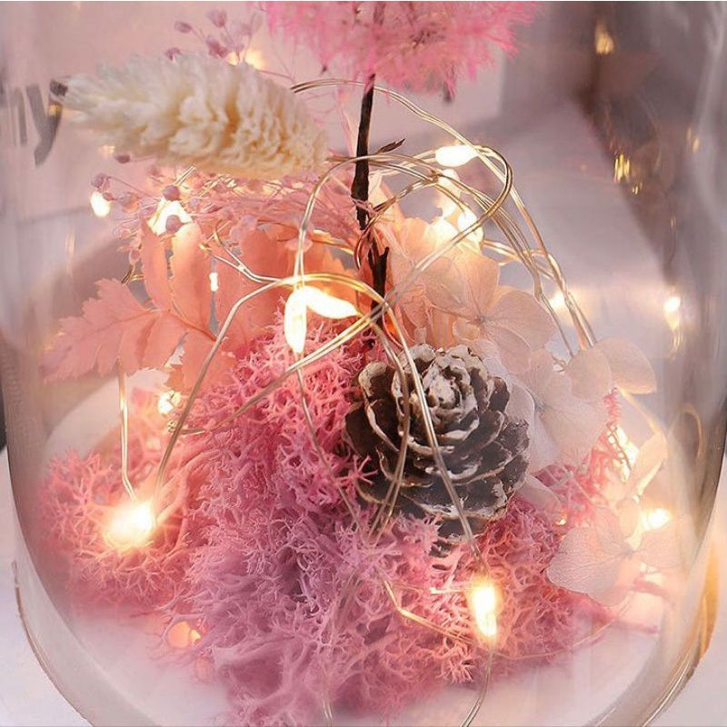 🇸🇬[SG Stock]Preserved Flowers Preserved Dandelion Singapore Local Wholesalers Home Decoration/DIY/Wedding