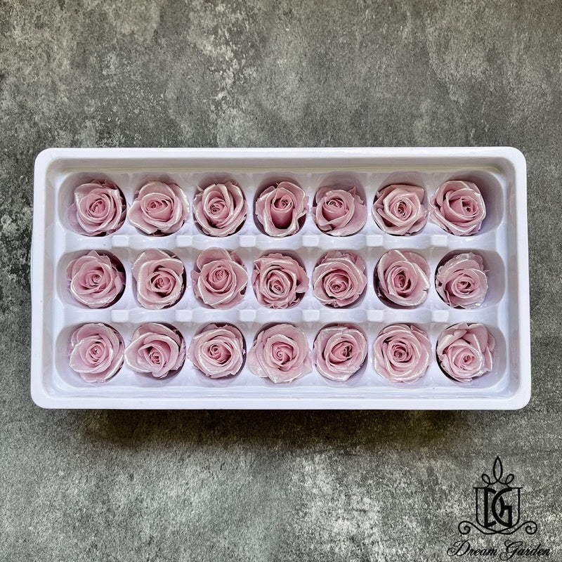 🇸🇬[SG Stock] Singapore Local Dream Garden Preserved Flowers Dried Flowers Pearl/Satin Preserved Roses Grade A 2-3cm