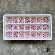 Preserved Flowers Pearl/Satin Preserved Roses Grade A | DreamGarden SG