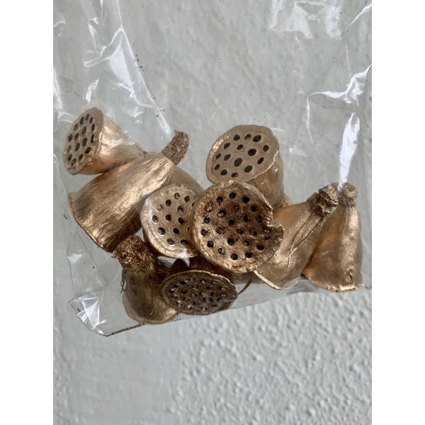 🇸🇬[SG Stock]Preserved Flowers Dried Flowers Dried Fruits Singapore Local Wholesalers Home Decoration/DIY/Wedding