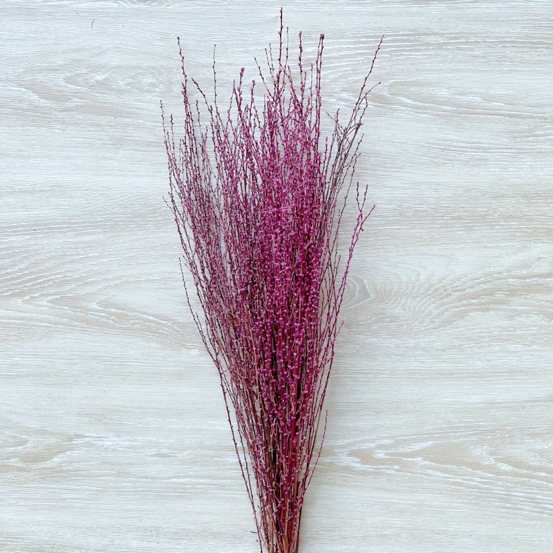 🇸🇬[SG Stock] Preserved Snow Willow Branches For Home Decor/DIY/Wedding/Glass Cover Dome Dried Eternal Flowers