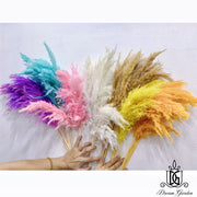 Naturally Dried Fluffy Pampas Grass Home Decoration | DreamGarden SG