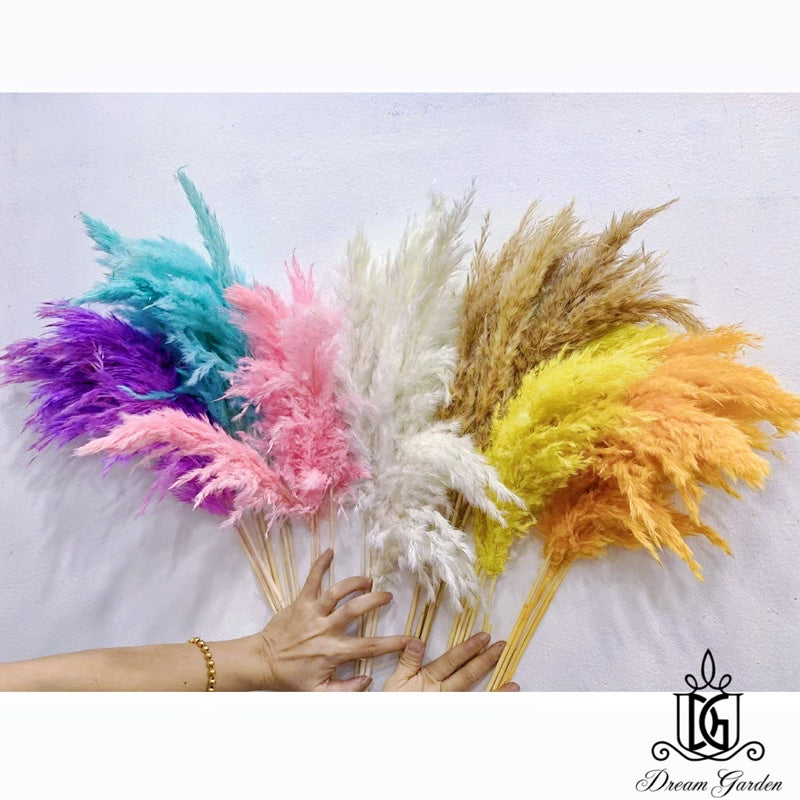 🇸🇬[SG Stock]Singapore Local Naturally Dried Fluffy Pampas Grass Home Decoration Flower Arrangement Reed Bouquet