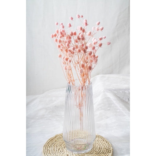 🇸🇬[SG Stock]Preserved Flowers Dried Flowers Preserved Sea Holly Singapore Local Wholesalers Home Decoration/DIY/Wedding