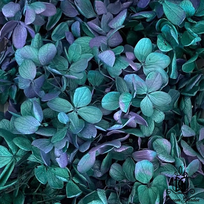 🇸🇬[SG Stock]Preserved Flowers Grade A Preserved Hydrangea Singapore Local Wholesalers Home Decoration/DIY/Wedding