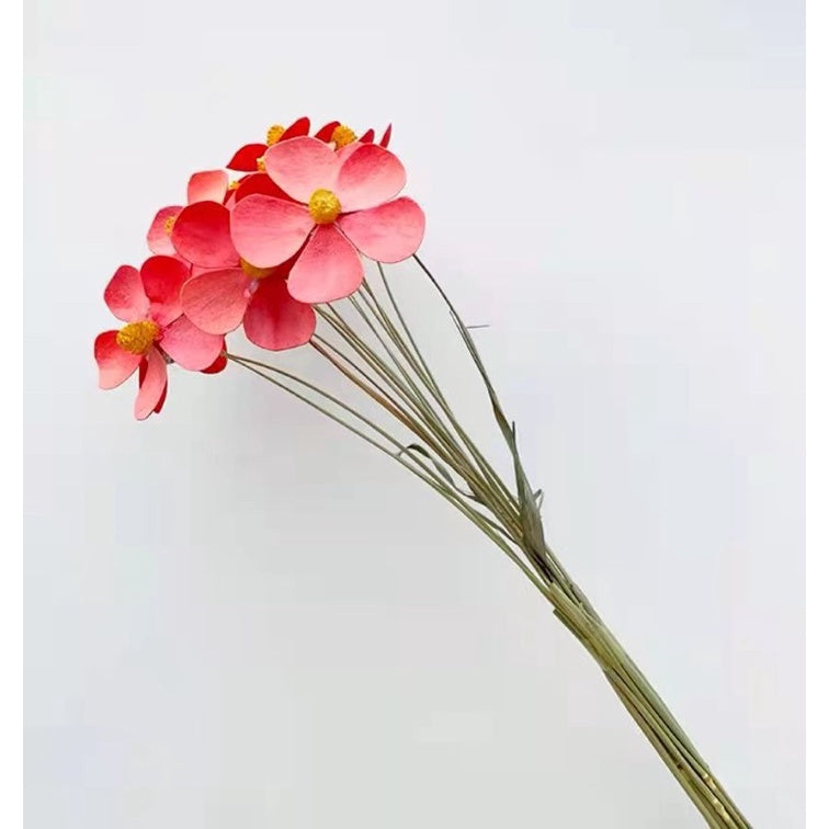🇸🇬[SG Stock]Preserved Flowers Dried Flowers Violet By Hand Singapore Local Wholesalers Home Decoration/DIY/Wedding
