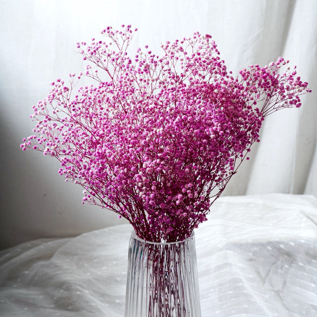 🇸🇬[SG Stock]Singapore Local Wholesaler Preserved Flowers Dried Flowers Preserved Babybreath Home Decoration/DIY/Wedding