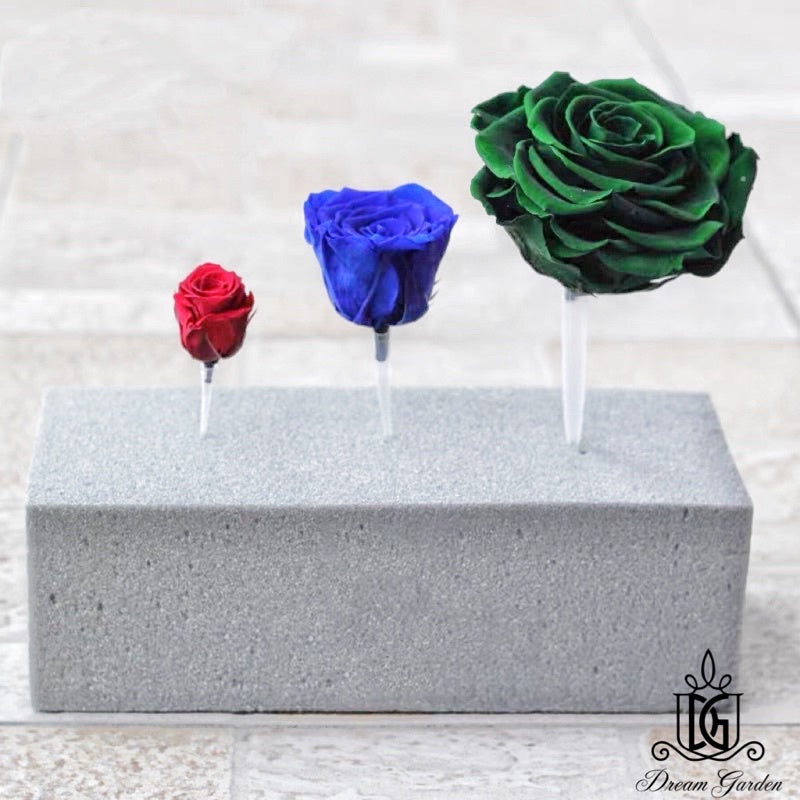 🇸🇬[SG Stock]New Arrival Preserved Flowers Stem Dried Flower Stem Floral Stalk 100gram Packing Floral Stem DIY Decor