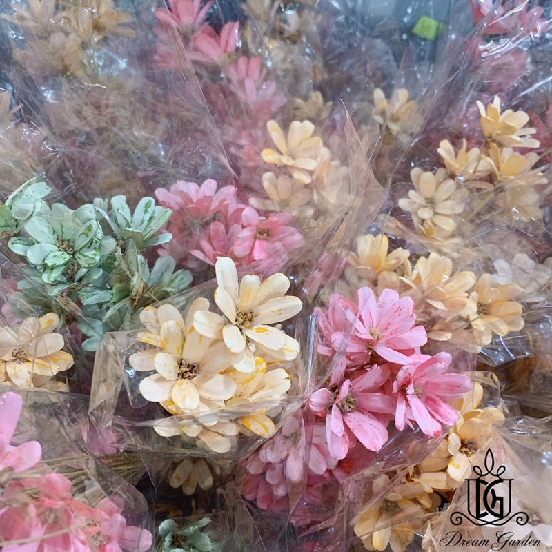 🇸🇬[SG Stock]Preserved Flowers Dried Flower Melon seed  Flowers Handmade Japanese Wood Flowers Singapore Local Wholesale