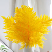 Preserved Rainbow Fern Dried Flowers Preserved | DreamGarden SG