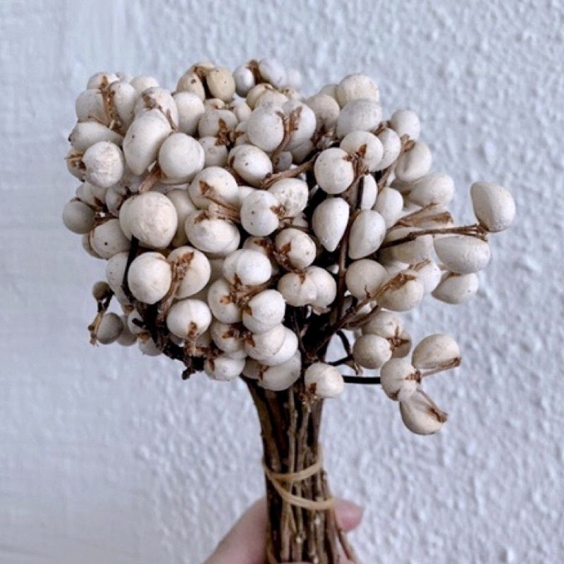 🇸🇬[SG Stock]Christmas Golden Fruit Mix & Eucalyptus Fruit,Button Fruit,Filbert,Hazel,Pine Cone,Dried Fruit Flower