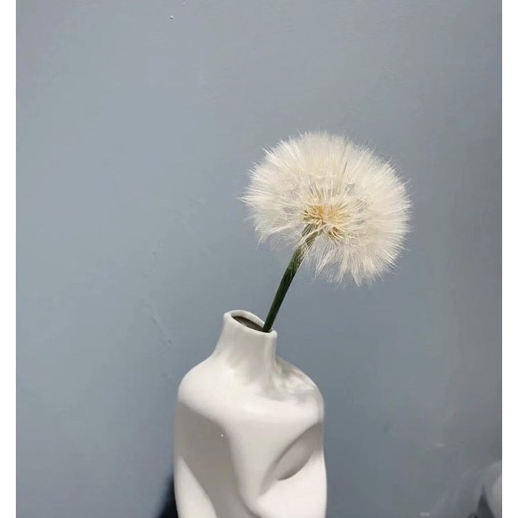 Preserved Giant Dandelion