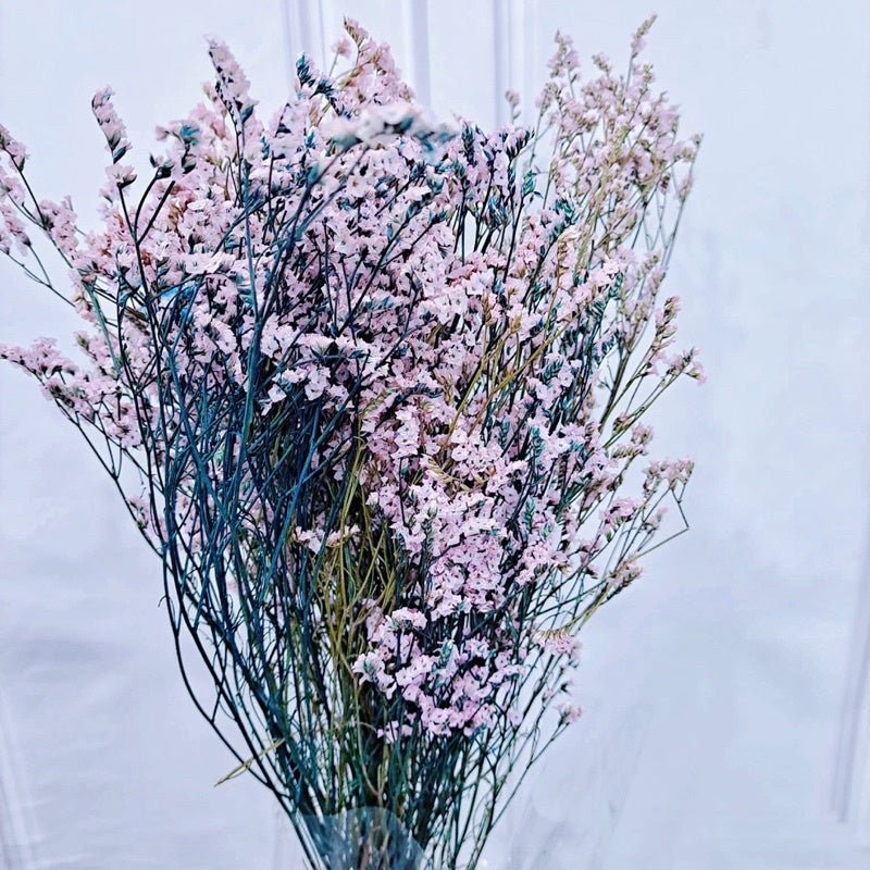 🇸🇬[SG Stock]Preserved Flowers Preserved Limonium Preserved Caspia Singapore Local Home Decoration/DIY/Wedding