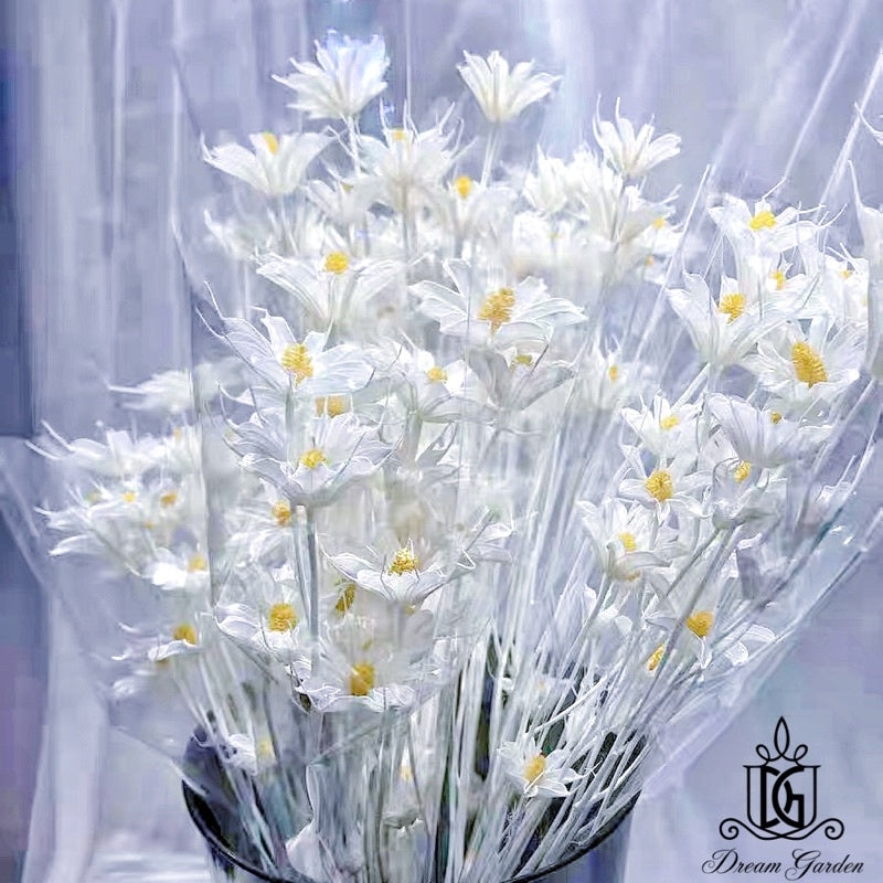 🇸🇬[SG Stock]Handmade Dried Flowers Dried Daisy Dried Sunflowers Singapore Local Wholesalers Home Decoration/DIY/Wedding