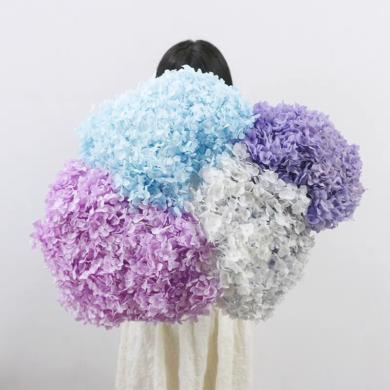 🇸🇬[SG Stock]Preserved Flowers Grade A Preserved Hydrangea Singapore Local Wholesalers Home Decoration/DIY/Wedding