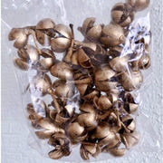 Christmas Golden Fruit Mix & Eucalyptus Fruit,Button | DreamGarden SG