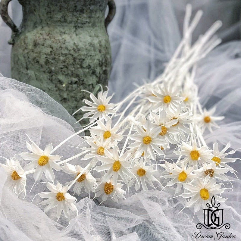 🇸🇬[SG Stock]Handmade Dried Flowers Dried Daisy Dried Sunflowers Singapore Local Wholesalers Home Decoration/DIY/Wedding