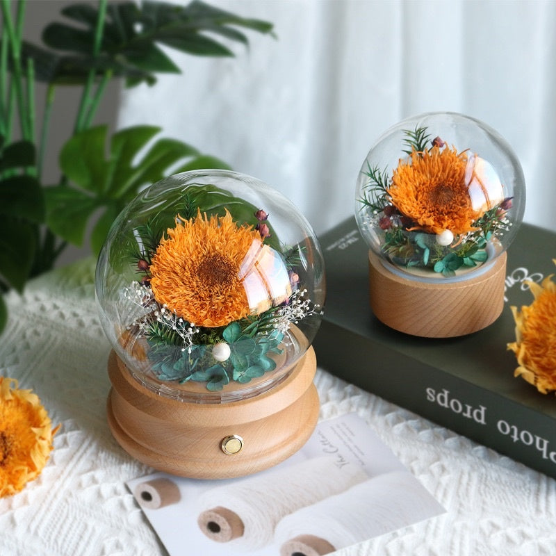 🇸🇬[SG Stock][Dream Garde]Preserved Sunflowers Preserved Flowers Dried Flowers Home Decoration/DIY/Wedding/Dome