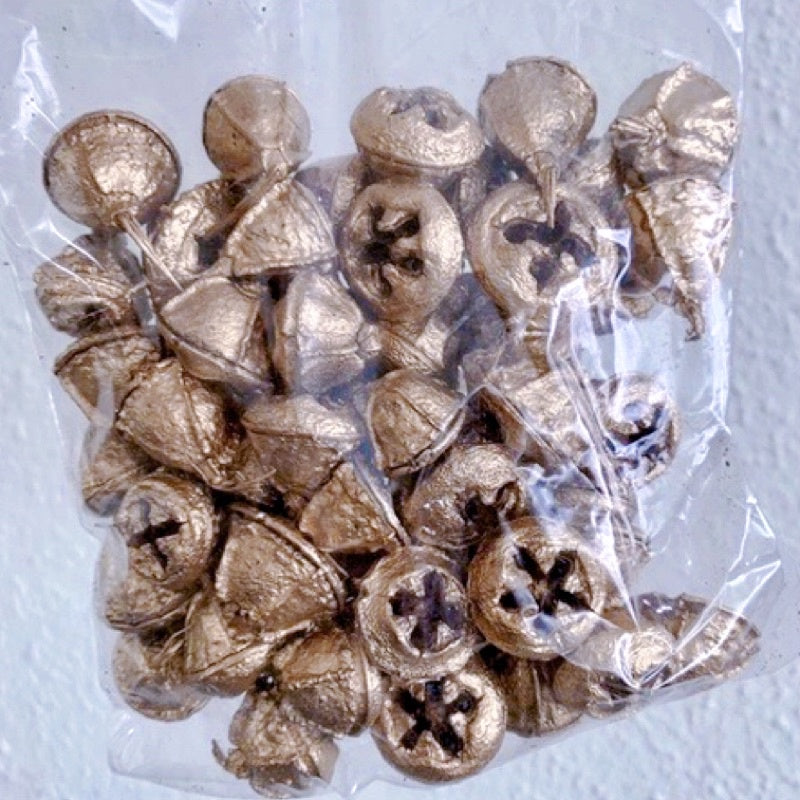 🇸🇬[SG Stock]Christmas Golden Fruit Mix & Eucalyptus Fruit,Button Fruit,Filbert,Hazel,Pine Cone,Dried Fruit Flower