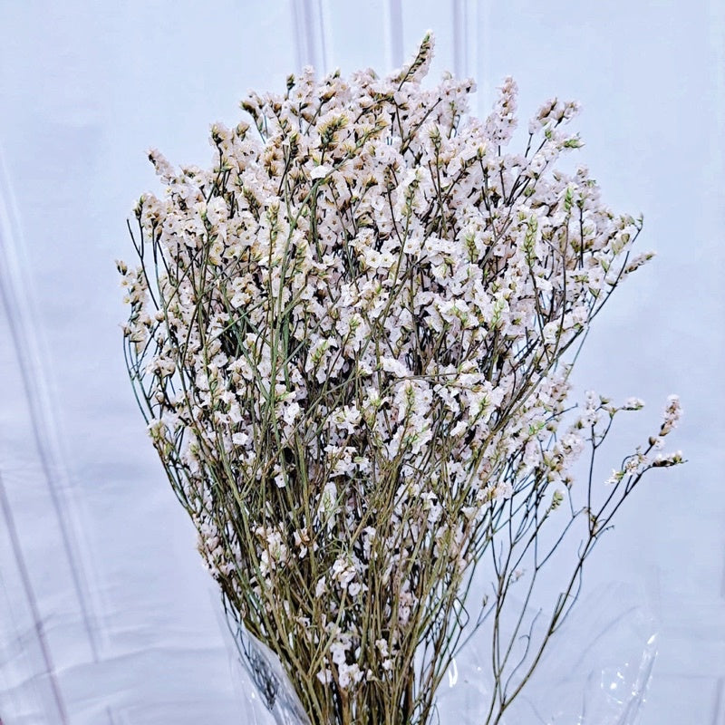 🇸🇬[SG Stock]Preserved Flowers Preserved Limonium Preserved Caspia Singapore Local Home Decoration/DIY/Wedding