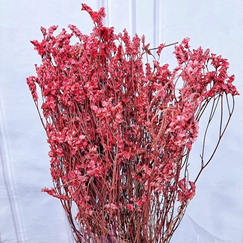 🇸🇬[SG Stock]Preserved Flowers Preserved Limonium Preserved Caspia Singapore Local Home Decoration/DIY/Wedding