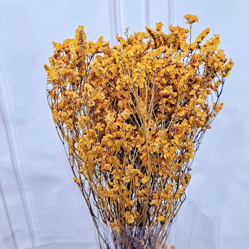 🇸🇬[SG Stock]Preserved Flowers Preserved Limonium Preserved Caspia Singapore Local Home Decoration/DIY/Wedding