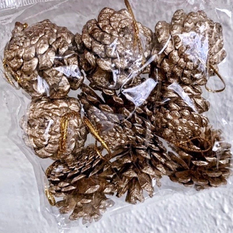🇸🇬[SG Stock]Christmas Golden Fruit Mix & Eucalyptus Fruit,Button Fruit,Filbert,Hazel,Pine Cone,Dried Fruit Flower