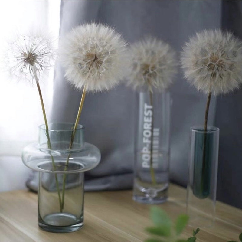 Preserved Giant Dandelion