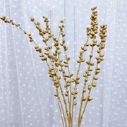 Christmas Golden Fruit Eucalyptus Fruit,Button | DreamGarden SG