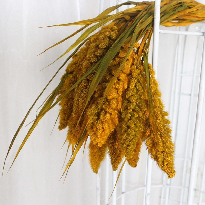 🇸🇬[SG Stock] Preserved Flower For Home Decor/DIY/Wedding/Glass Cover Dome Dried Eternal Flowers