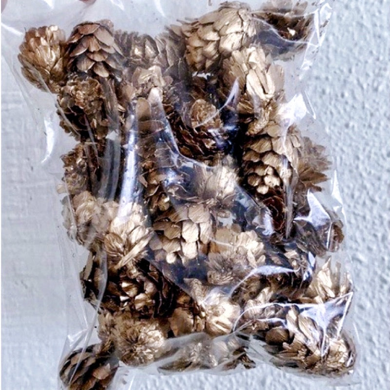 🇸🇬[SG Stock]Christmas Golden Fruit Mix & Eucalyptus Fruit,Button Fruit,Filbert,Hazel,Pine Cone,Dried Fruit Flower