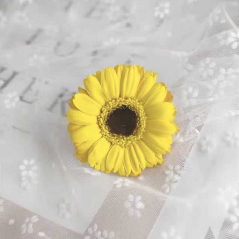 🇸🇬[SG Stock]Preserved Sunflower Dried Flowers Preserved Gerbera Singapore Local Wholesalers Home Decoration/DIY/Wedding