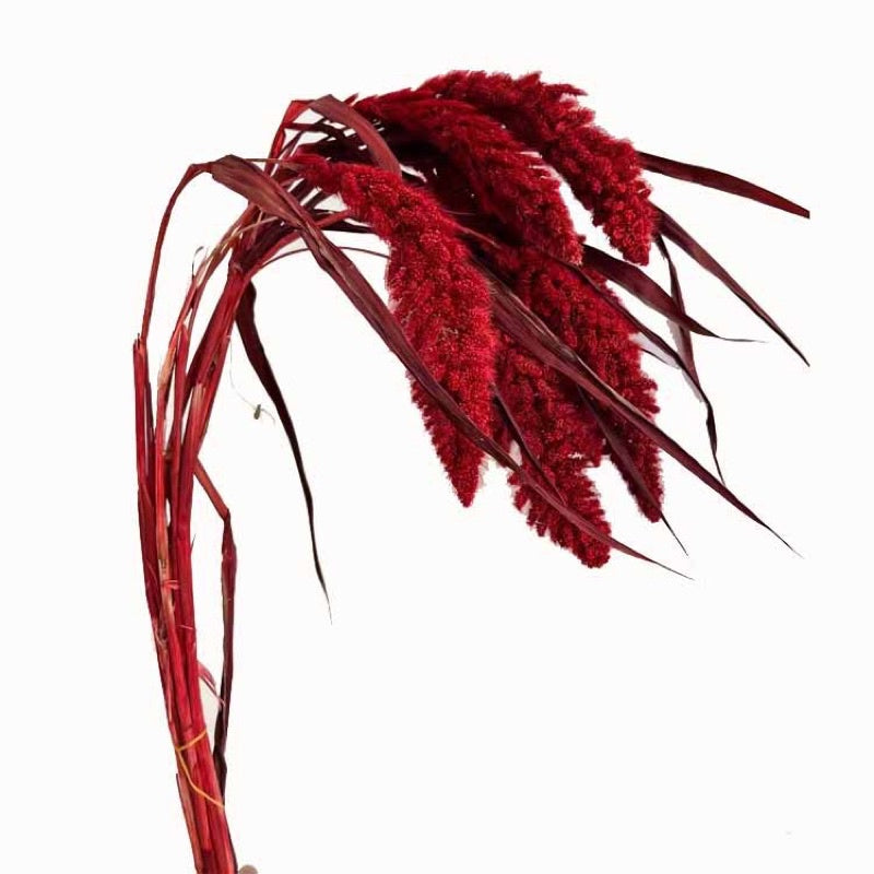 🇸🇬[SG Stock] Preserved Flower For Home Decor/DIY/Wedding/Glass Cover Dome Dried Eternal Flowers
