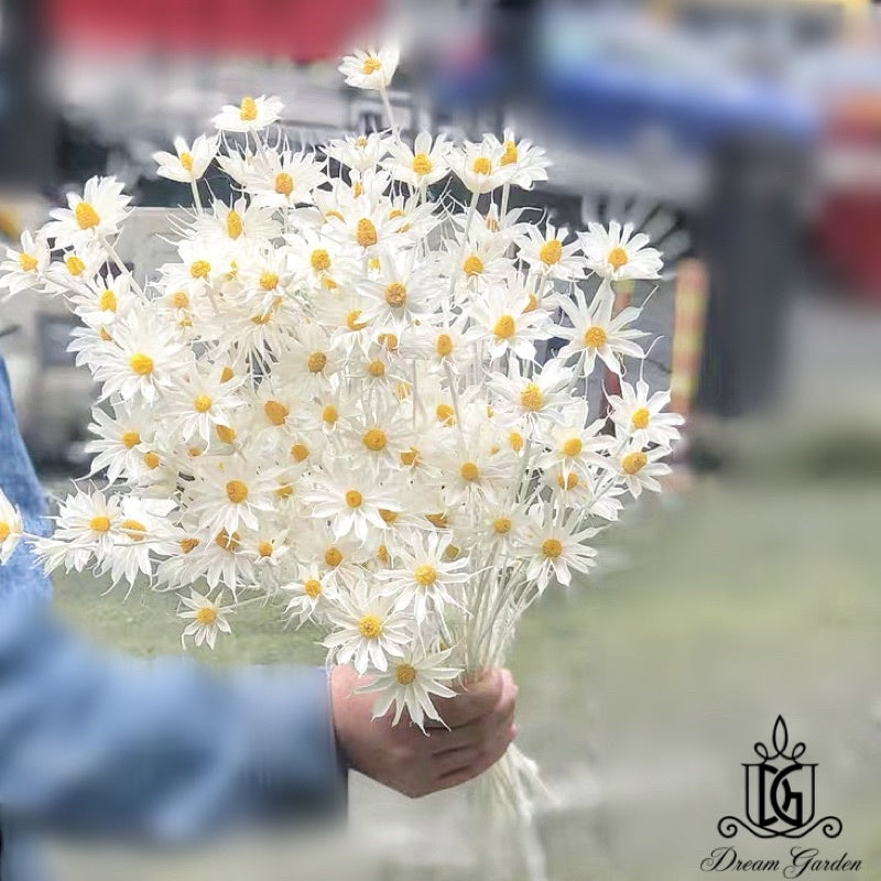 🇸🇬[SG Stock]Handmade Dried Flowers Dried Daisy Dried Sunflowers Singapore Local Wholesalers Home Decoration/DIY/Wedding