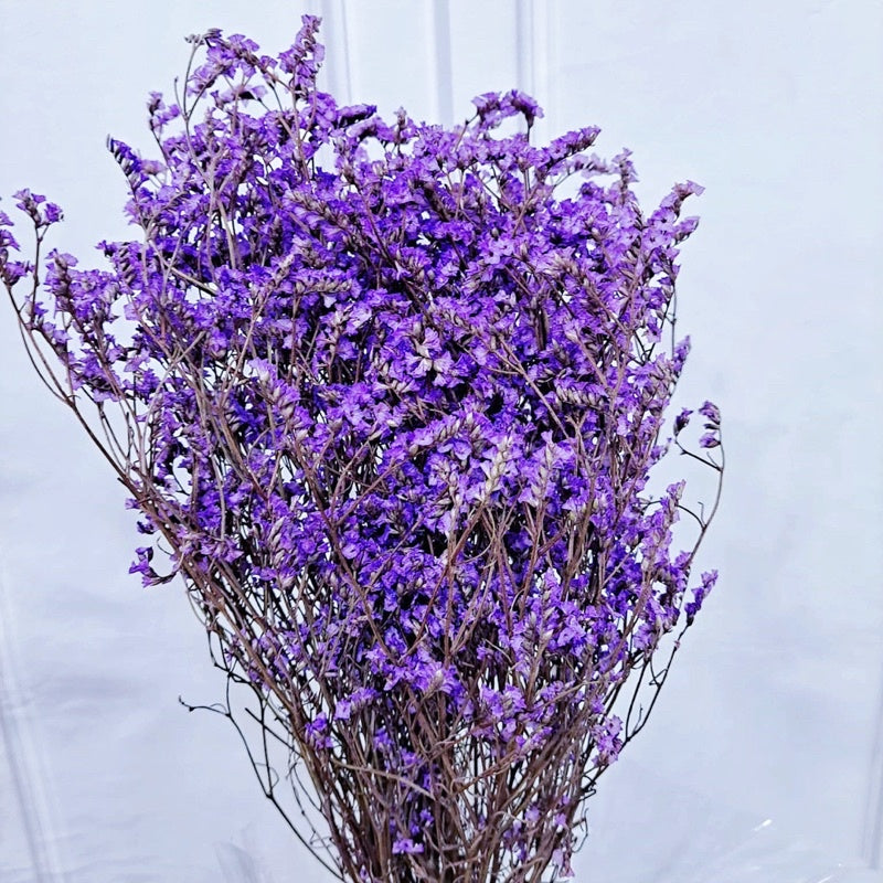 🇸🇬[SG Stock]Preserved Flowers Preserved Limonium Preserved Caspia Singapore Local Home Decoration/DIY/Wedding
