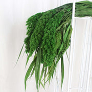 Preserved Flower For Home Decor/DIY/Wedding/Glass Cover | DreamGarden SG