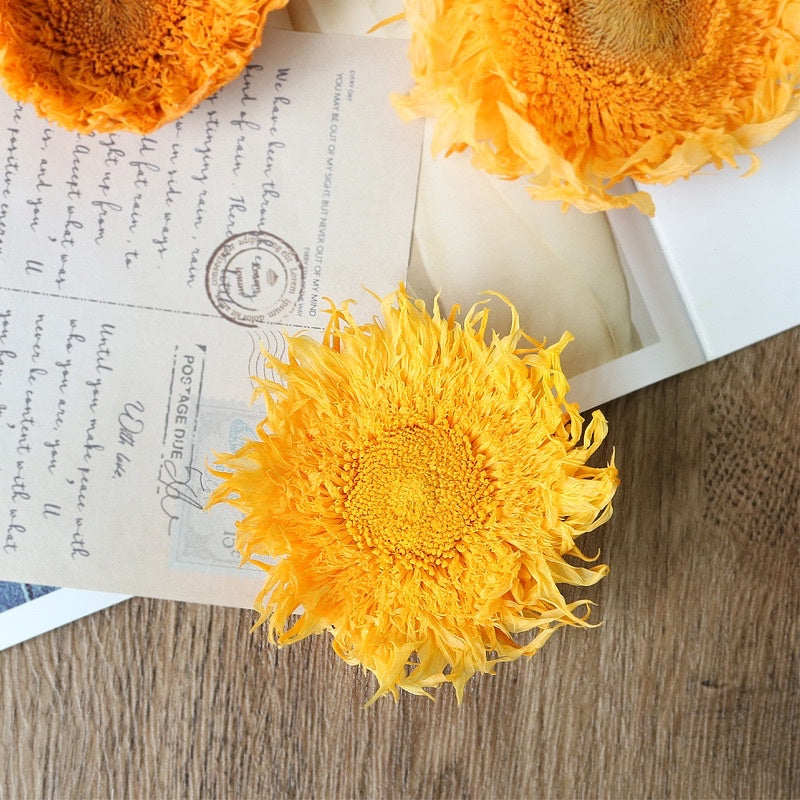 🇸🇬[SG Stock][Dream Garde]Preserved Sunflowers Preserved Flowers Dried Flowers Home Decoration/DIY/Wedding/Dome