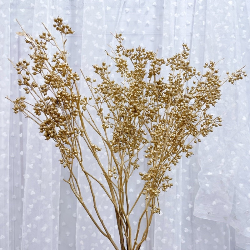 🇸🇬[SG Stock]Christmas Golden Fruit Eucalyptus Fruit,Button Fruit,Filbert,Hazel,Pine Cone,Dried Fruit Preserved Flower