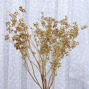 Christmas Golden Fruit Eucalyptus Fruit,Button | DreamGarden SG