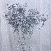 Christmas Golden Fruit Eucalyptus Fruit,Button | DreamGarden SG