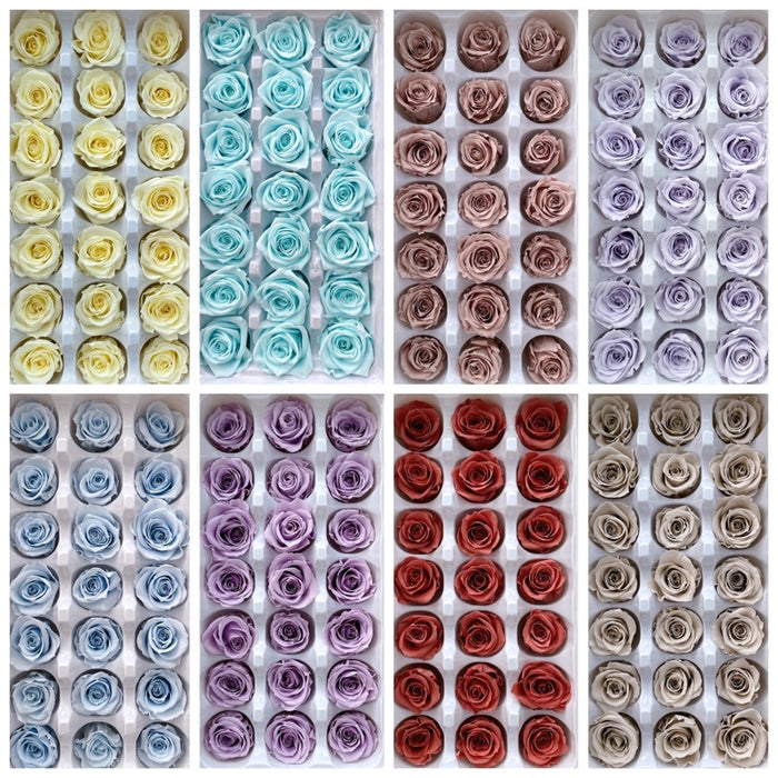 Grade B Preserved Roses 2cm-3cm | DreamGarden SG