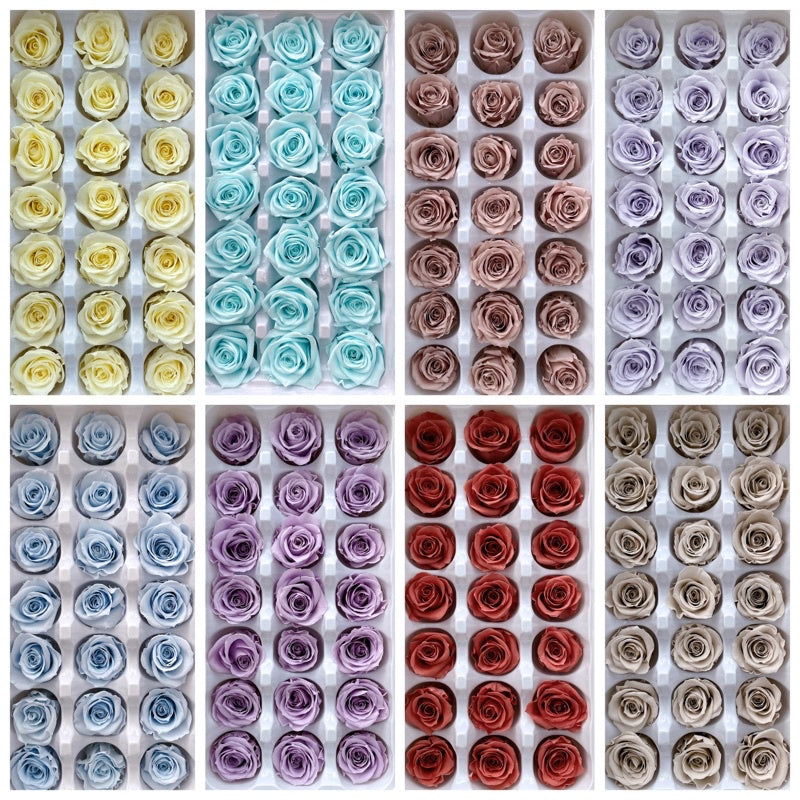 🇸🇬[SG Stock][Dream Garden]Grade B Preserved Roses 2cm-3cm Preserved Flowers Dried Flowers Home Decoration/DIY/Wedding