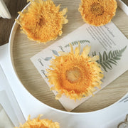 [Dream Garde]Preserved Sunflowers | DreamGarden SG