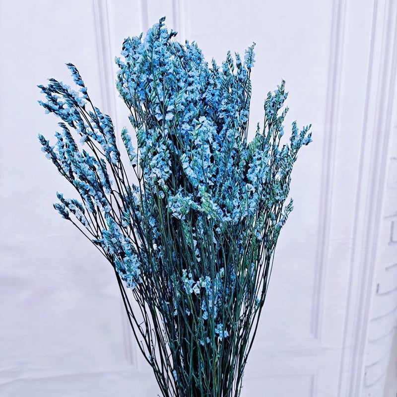 🇸🇬[SG Stock]Preserved Flowers Preserved Limonium Preserved Caspia Singapore Local Home Decoration/DIY/Wedding