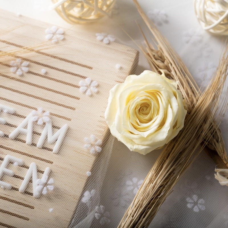 [SG Ready Stock] Grade B Preserved Roses 4–5cm | 8pcs/Box for DIY Bouquets & Floral Crafts